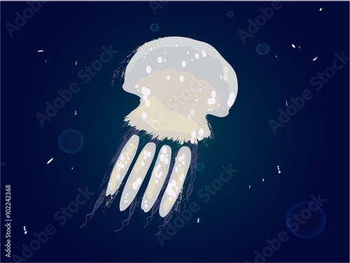 Jellyfish