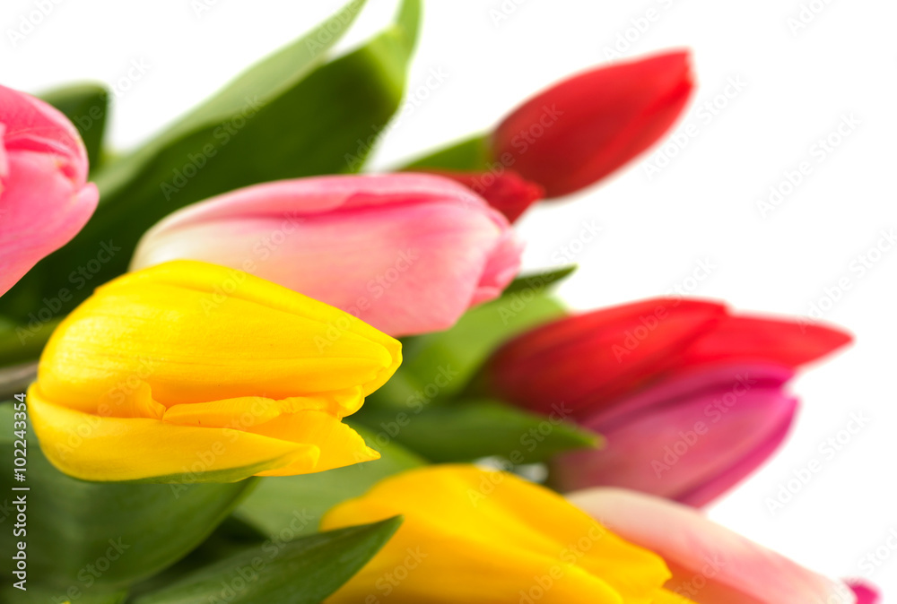 Bouquet of colorful tulips.