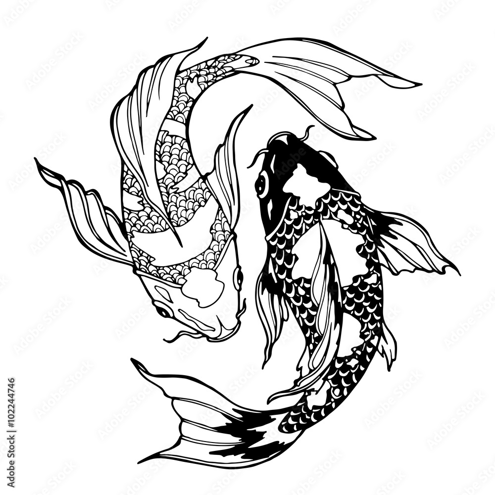 Naklejka premium koi fish; ying yang symbol