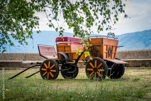 Retro style horsedrawn carriage in the Ostrog monastery. Popular touristic destination in Montenegro.
