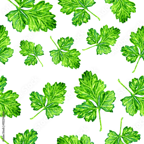 Vintage seamless pattern based on watercolor parsley. Watercolor paint. Can be used as decoration for the gift boxes, wallpapers, backgrounds, web sites. The ornament with green leaves. Nature theme.