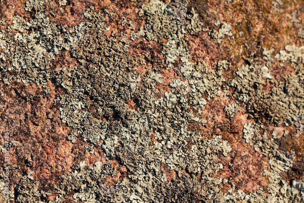 Stone texture Stone texture