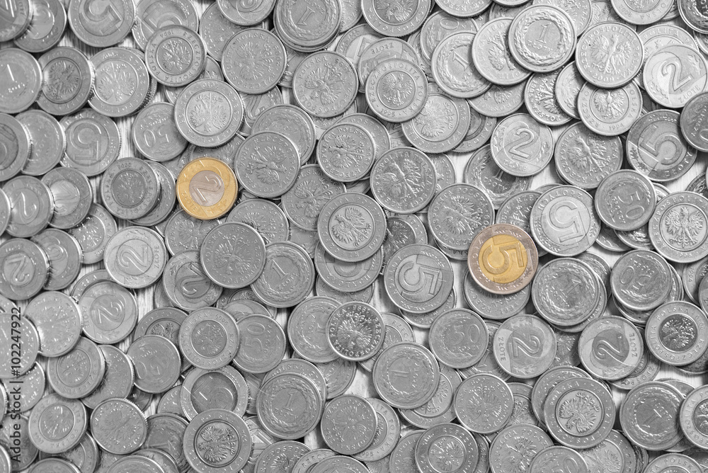 Texture laid with silver coins. Texture laid with silver coins.