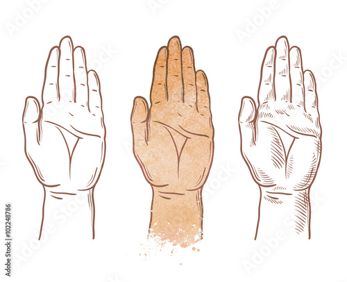 hand up vector logo. chiromancy, palmistry or palm icon