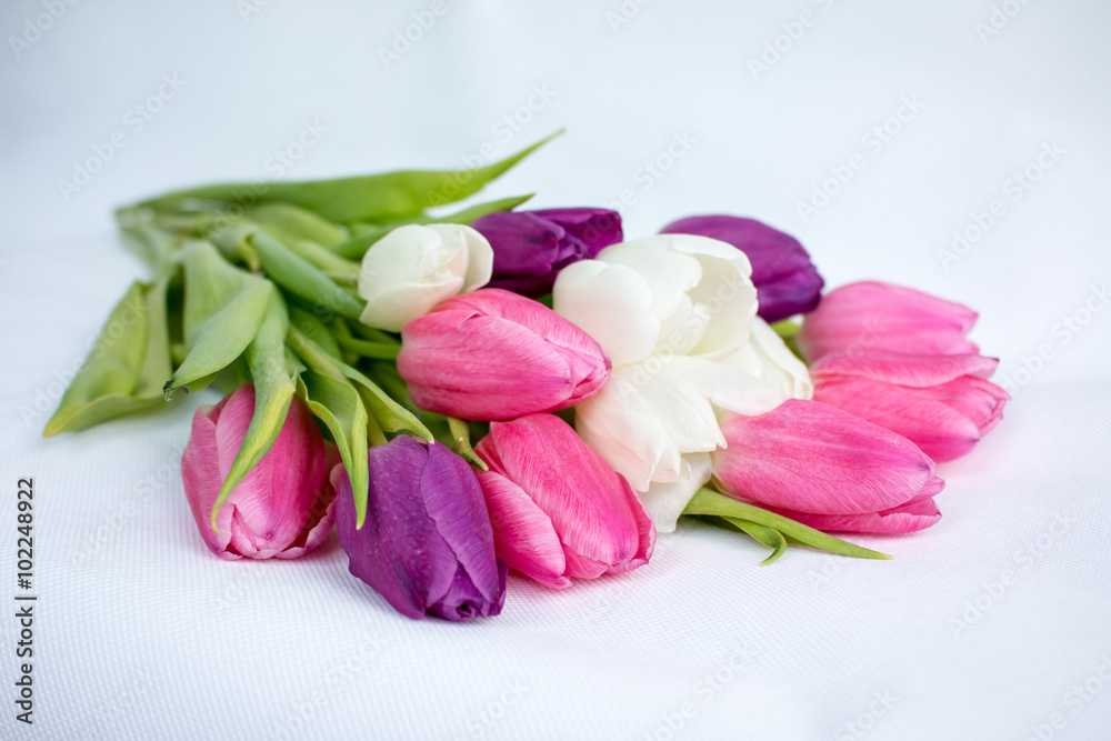 bouquet of tulips bouquet of tulips
