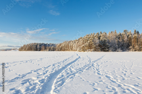Frozen lake and snow covered forest © Juhku