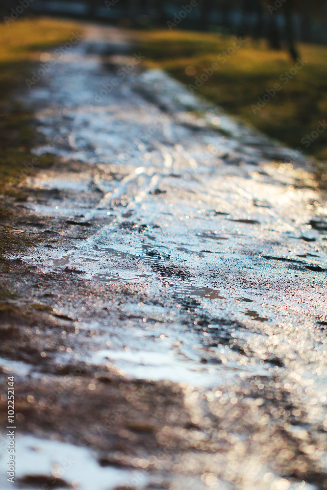 Spring bike path Spring bike path