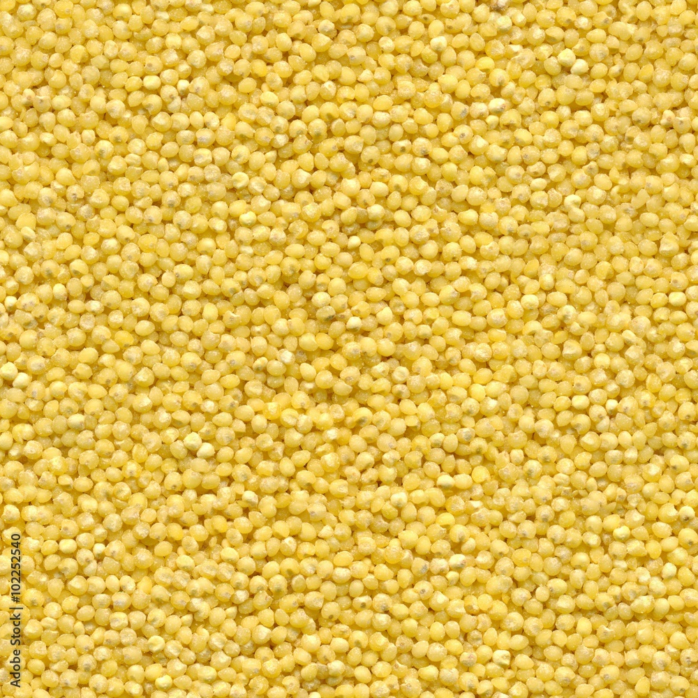 Seamless texture of millet grains Seamless texture of millet grains