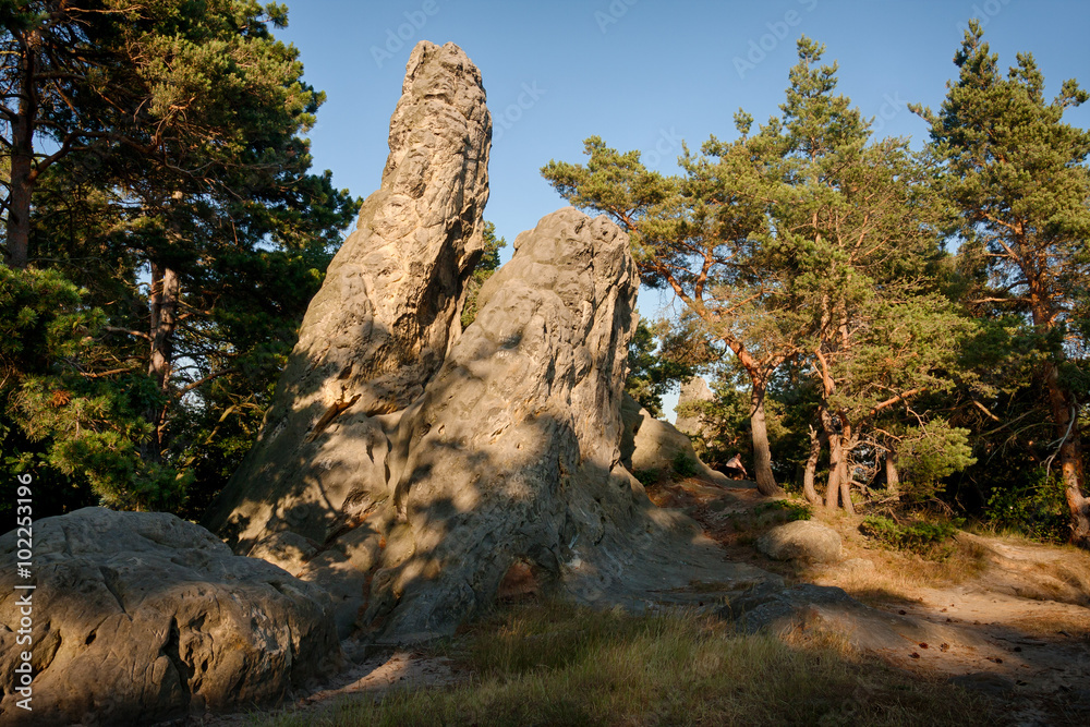 Fototapeta premium Teufelsmauer harz bei Blankenburg