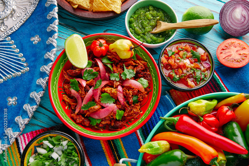 Cochinita Pibil Mexican food with red onion Cochinita Pibil Mexican food with red onion