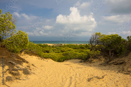 Dunes de La Marina