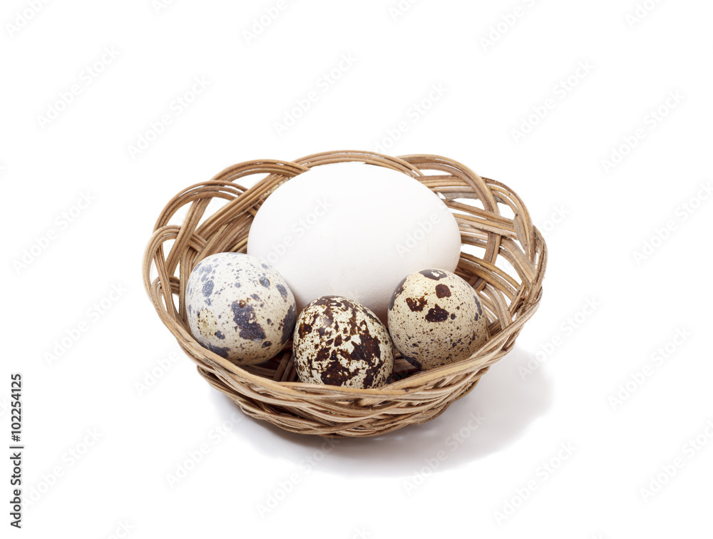 quail eggs on white background quail eggs on white background
