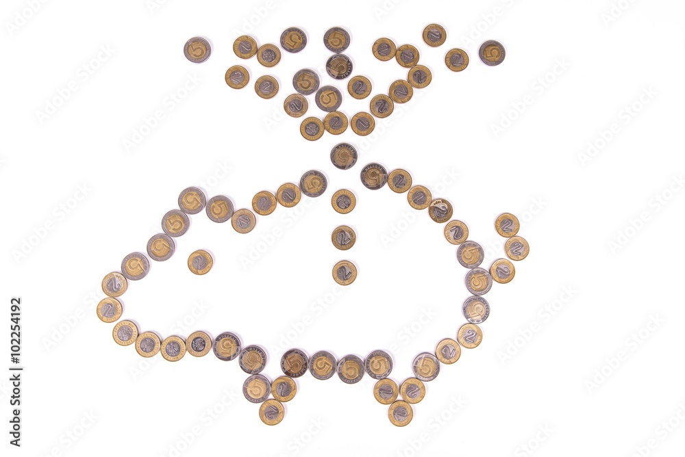 Coins thrown into a piggy bank Coins thrown into a piggy bank
