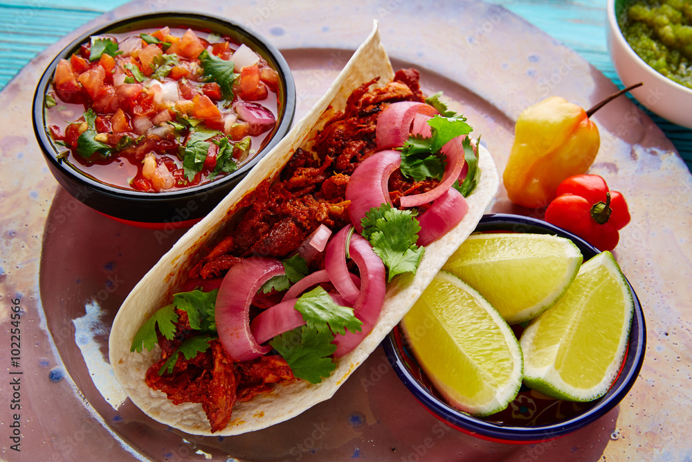 Cochinita Pibil Mexican food with pico de gallo Cochinita Pibil Mexican food with pico de gallo