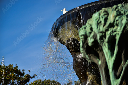 Photography Vigelandpark