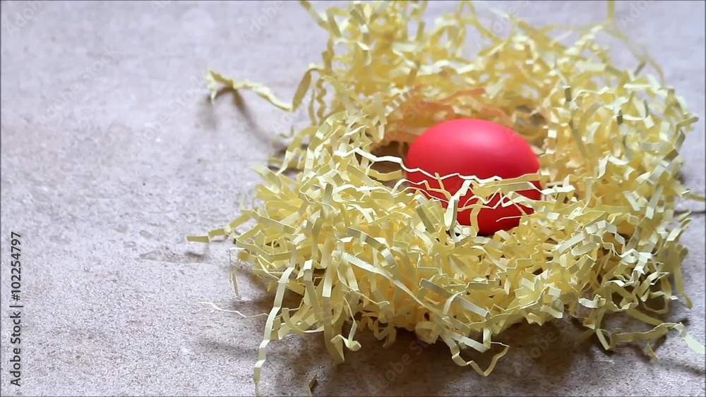 pink farbendes Osterei dreht sich im Nest 