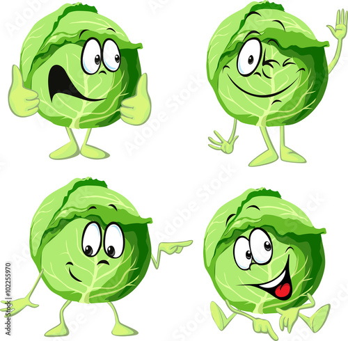 green cabbage cartoon isolated on white background