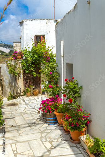 Fototapeta Naklejka Na Ścianę i Meble -  Traditional houses in Mykonos, Greece. Beautiful sample of the a