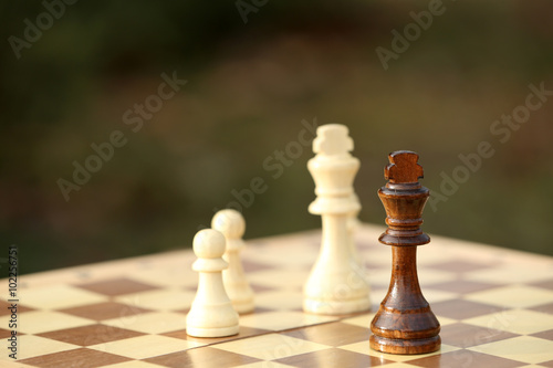 Chess pieces and game board on nature background