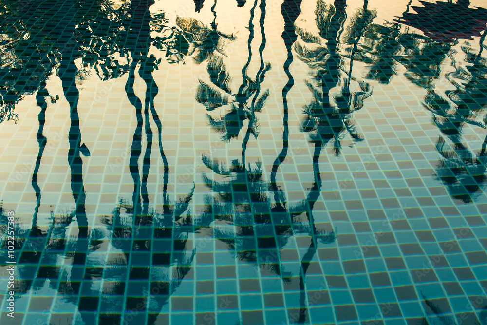 Obraz premium Palm trees reflected in the water of the pool.