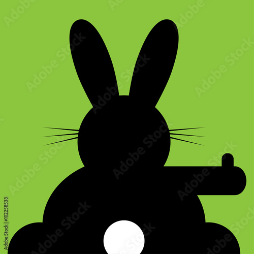 sitting and hitchhiking bunny