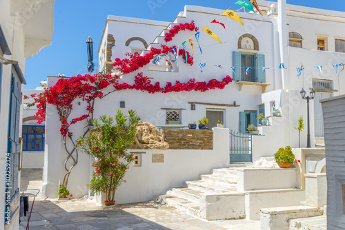 Fototapeta Naklejka Na Ścianę i Meble -  Traditional houses in Mykonos, Greece. Beautiful sample of the a