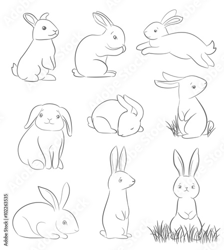 set of cute cartoon rabbits. line art vector drawing