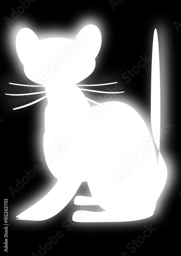 Gato blanco en fondo negro.