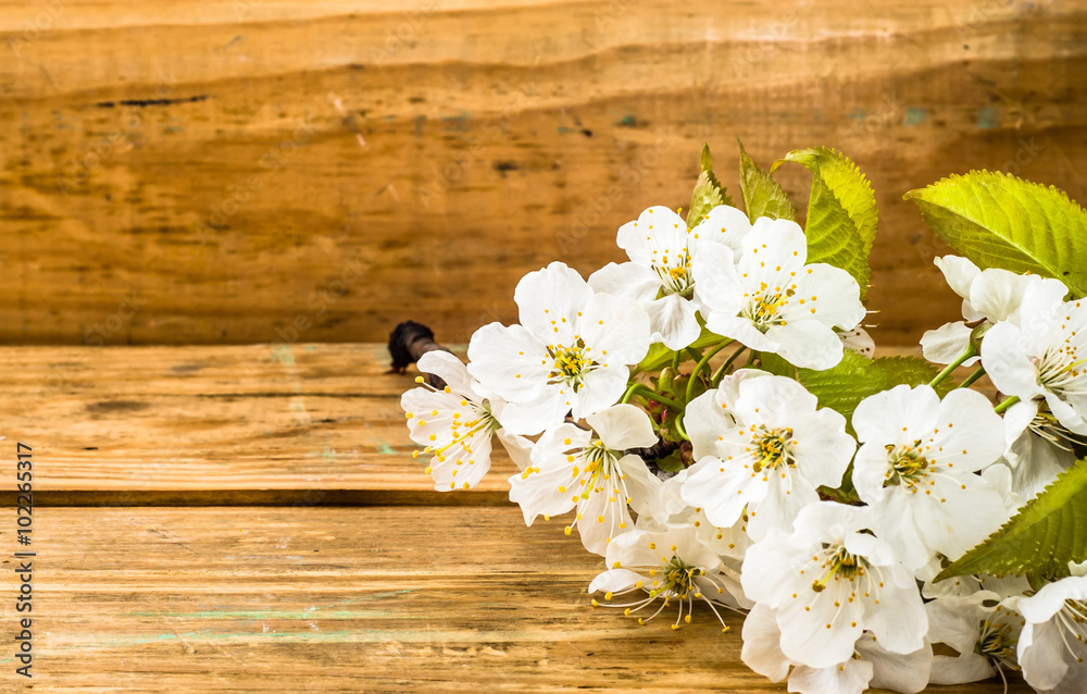 Fruit blossoms on wood. Background with copy-space for greeting card or wallpaper Fruit blossoms on wood. Background with copy-space for greeting card or wallpaper