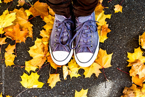 Schuhe im Herbstlaub photo