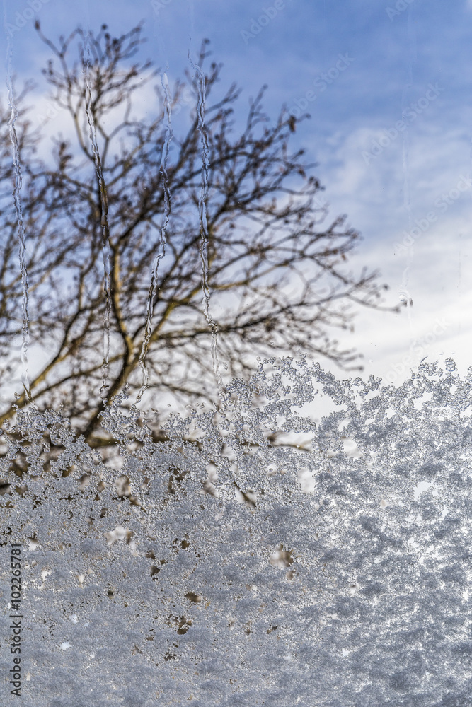 view through snowy window