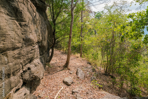 large rock, Rocky cliff in a forest at Mountain. photo