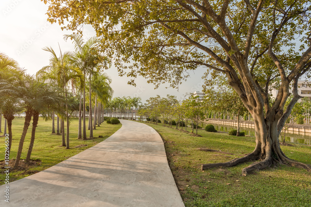 Trees and walkway on green grass field in the park at morning. Trees and walkway on green grass field in the park at morning.