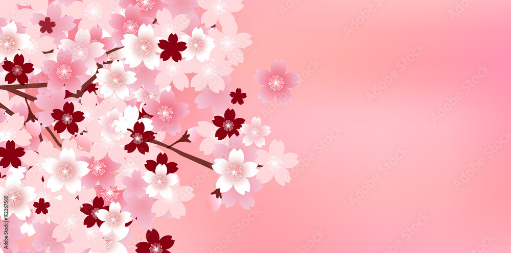 桜 春 花 背景 桜 春 花 背景