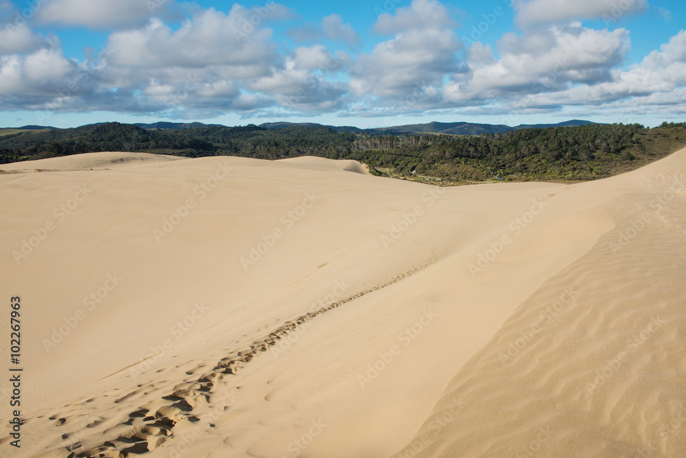 Foot prints on the scenic dunes of Te Paki in the Far North, New Zealand