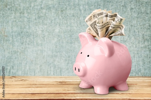 Piggy Bank. photo