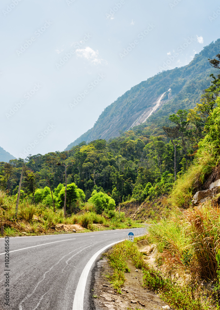The road on the Langbian Plateau to Da Lat city (Dalat)