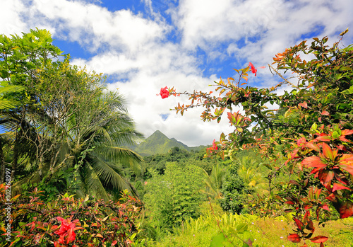 Montagne Pelée (Bald Mountain Volcano), Martinique, Caribbean