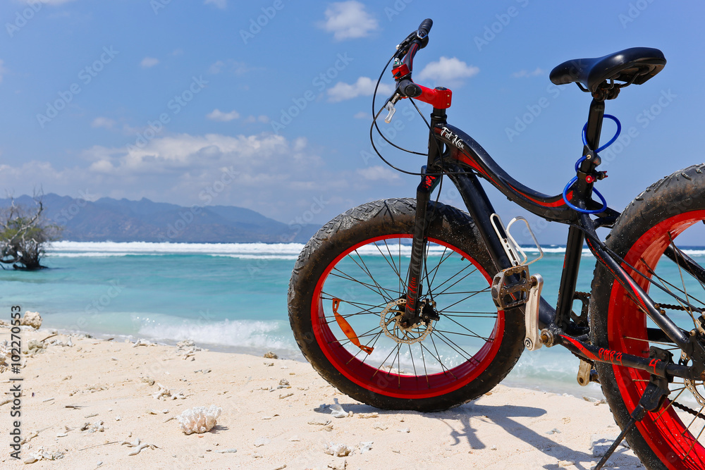 Fototapeta premium fatbike in front of the sea