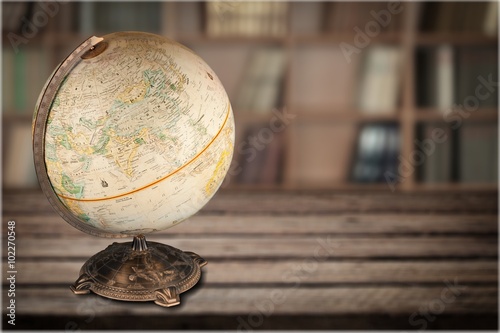 Quadro em tela Globe.