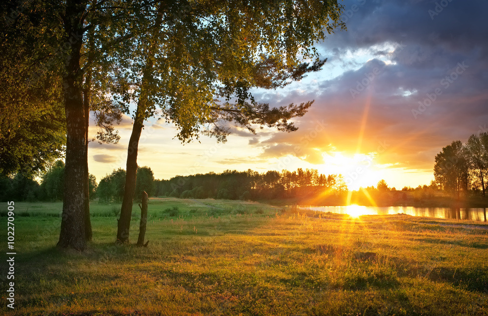 © es0lex - Beautiful evening sunny landscape with trees, grass and river