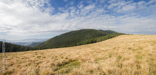 Panoramic view of the plains and mountains. Carpathians