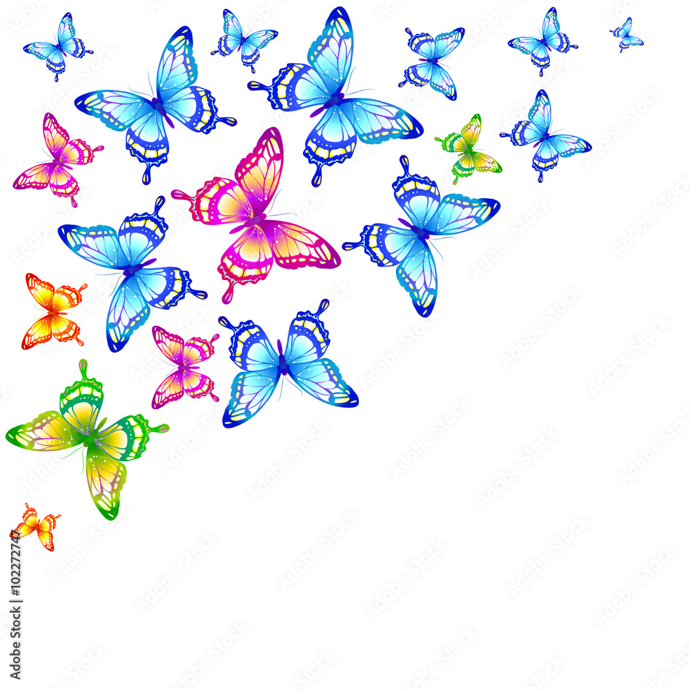 Naklejka premium butterflies design