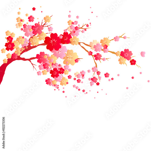 cherry branch
