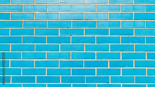 Blue Brick Wall 1