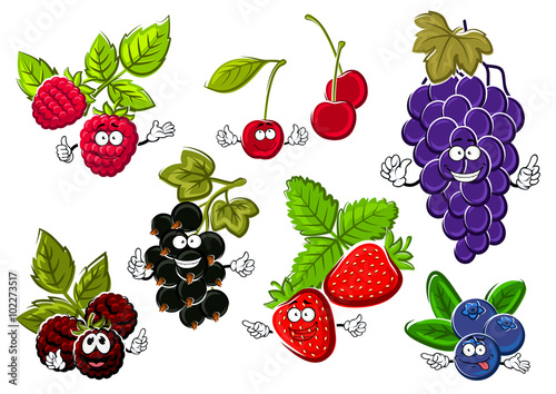 Garden berry fruits happy characters