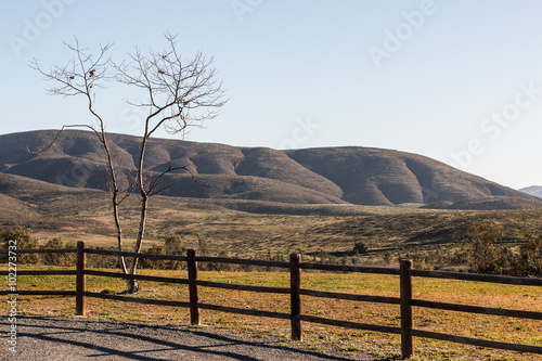 Fence line, tree and mountain background at Lower Otay Lake in Chula Vista, California.