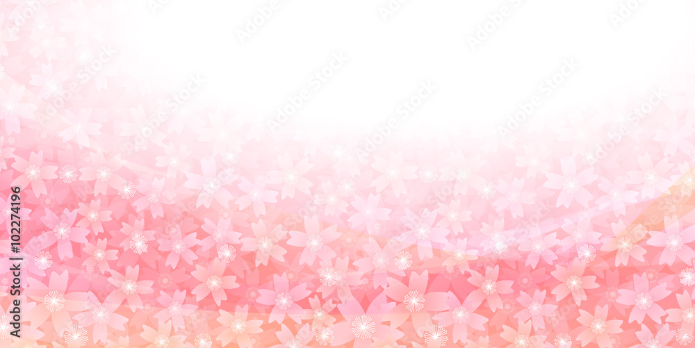 桜 春 花 背景 桜 春 花 背景
