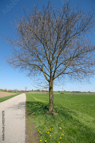 Ein Spaziergang im bayerischen Voralpenland
