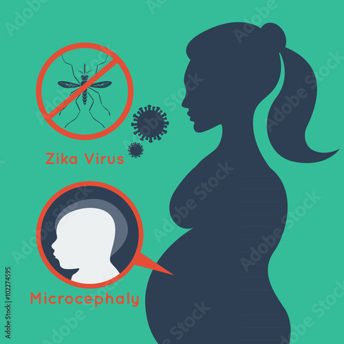 zika virus vector photo